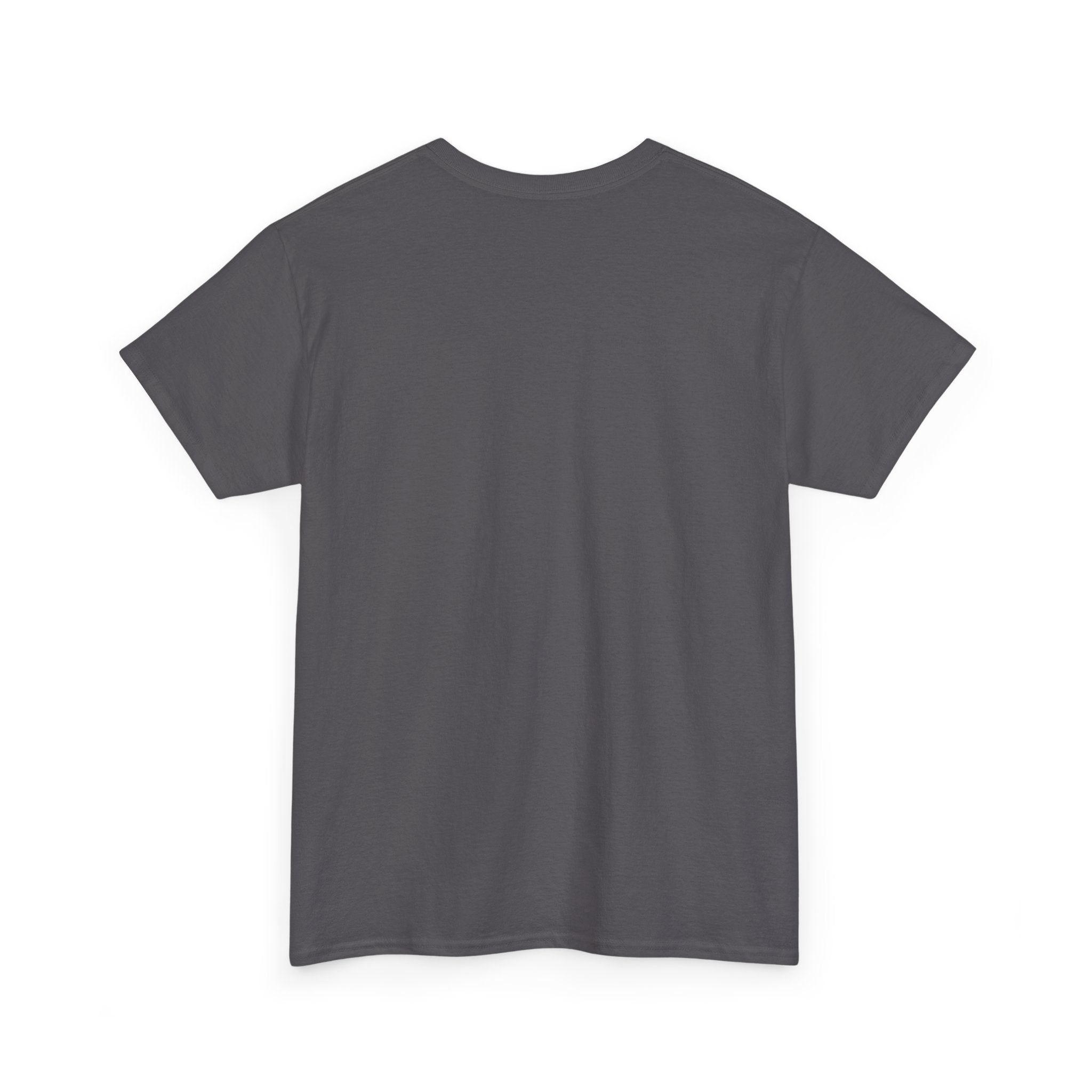 He Him Daddy T-Shirt: Cheeky Gay Tee for Masculine Men
